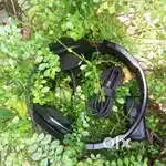 Xiberia headset