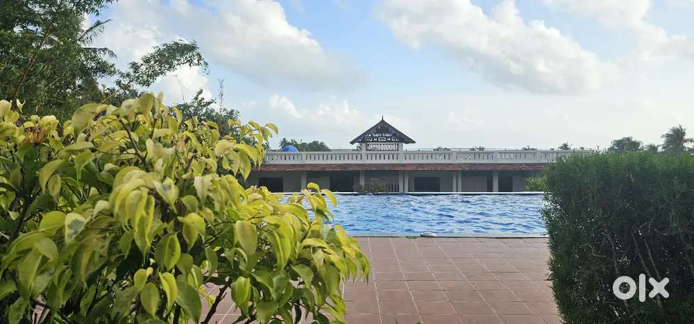 Experienced Executice chef requirement