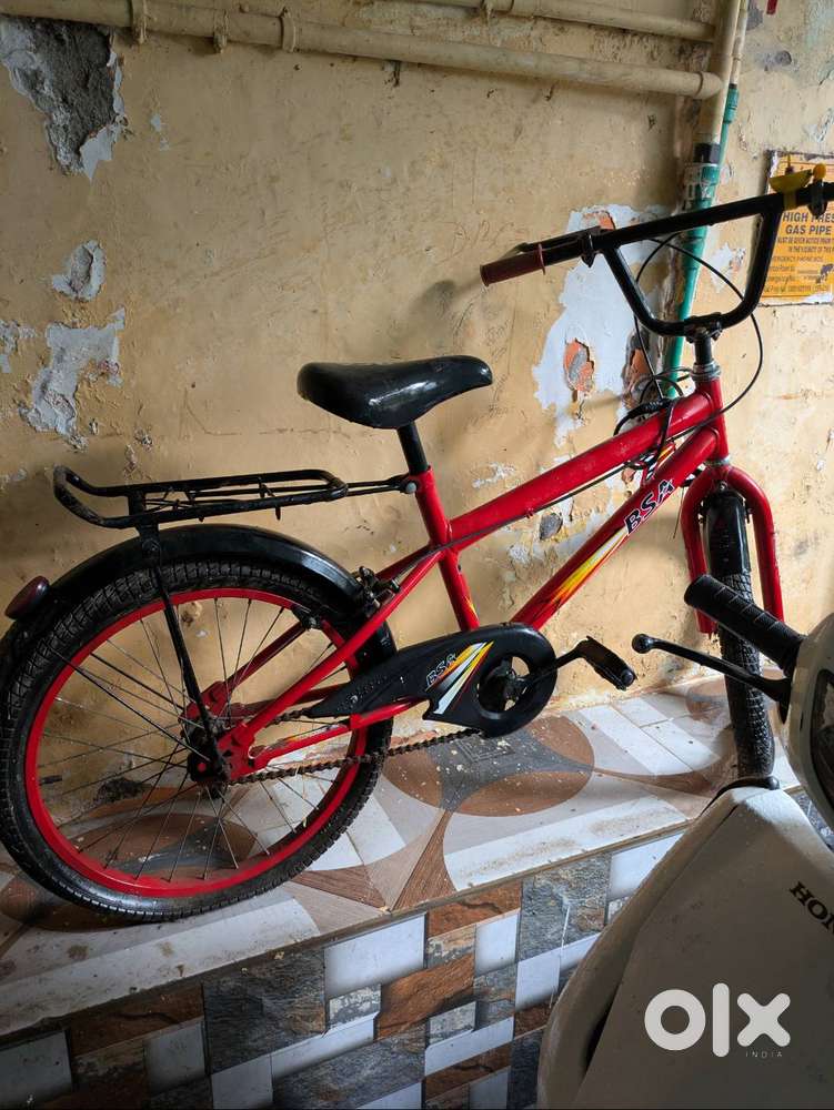 Two cycles of Hercules and BSA