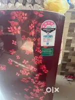 Samsung one door fridge
