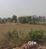 Plot 50 gaj