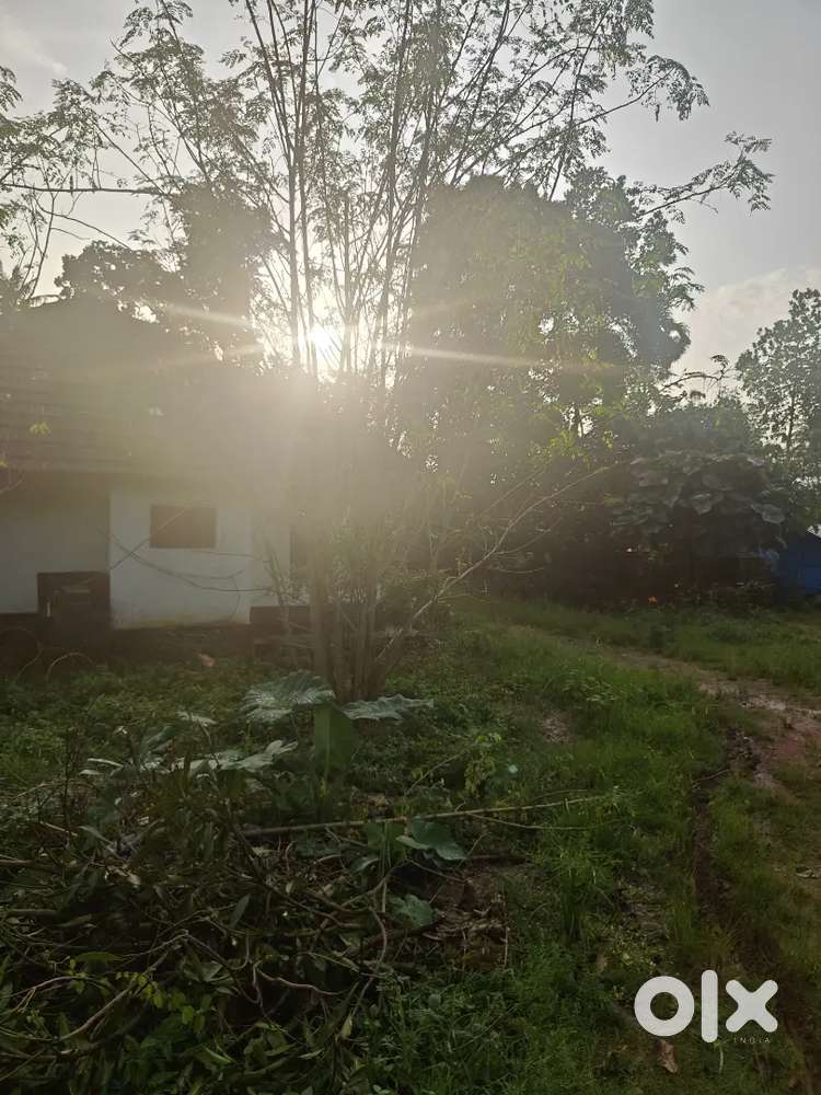 14 Cent Residential Plot for Sale – Ponjassery MH Kavala, Prime Spot