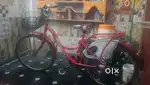 Sel cycle in Vijayawada