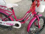 2 cycle. Hero + Foxglove cycle. 1 year old