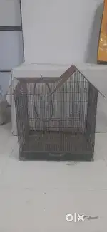 Bird /Parrot Cage in good condition