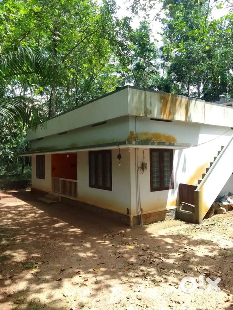 Chemboor നാലു വശവും ചുറ്റു മതിലോടുകൂടിയ വീട്