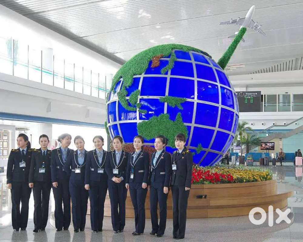 Job opportunities for Male/Female Both in Aviation Industry
