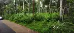 Madavoor 12.75 cents Residential Plot Near School & Convention Centre
