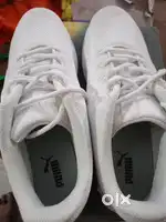 Puma brand item