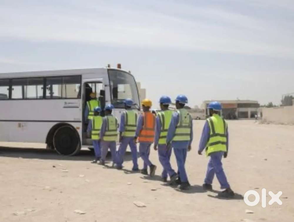 Urgent require 25 female office staff for import export office contact