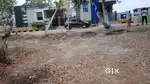 LRS paid open plot for sale near main raod
