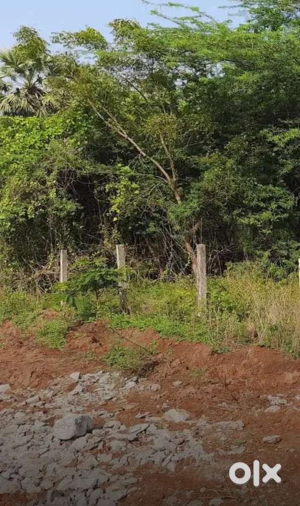 West facing open plot for sale
