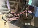 1.5 year old cycle