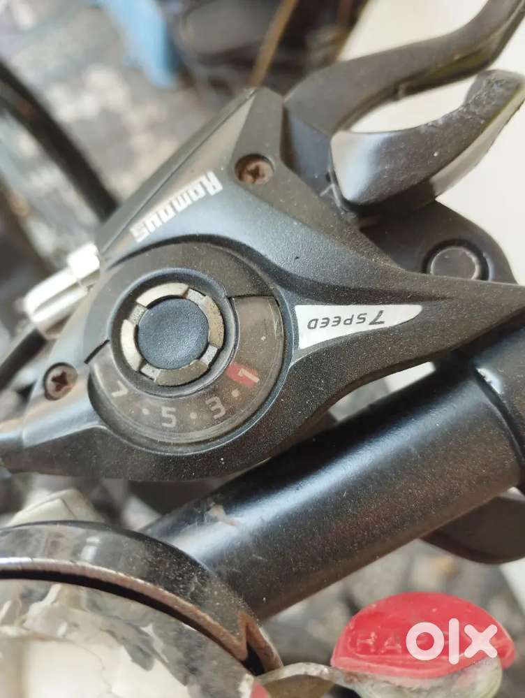 Phoenix eco 5.5 with 7 speed gears and disk break