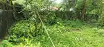 Beltala meherpur 3 khatha plot for sale opp to memo ghsai petrol pump