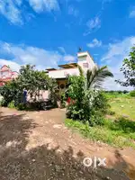 2year old , Residencial area ,natural view in area