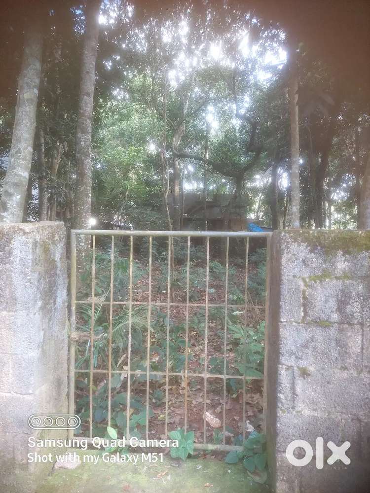 8cent property in chavadinada,venganoor