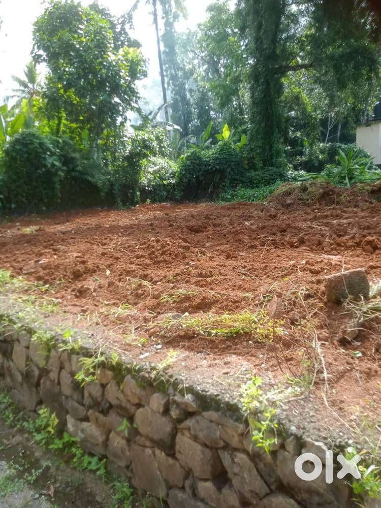 7 CENT  LAND FOR SALE