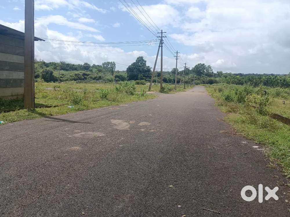 All available 30+40,40+60