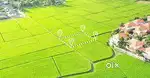 Experience in real estate