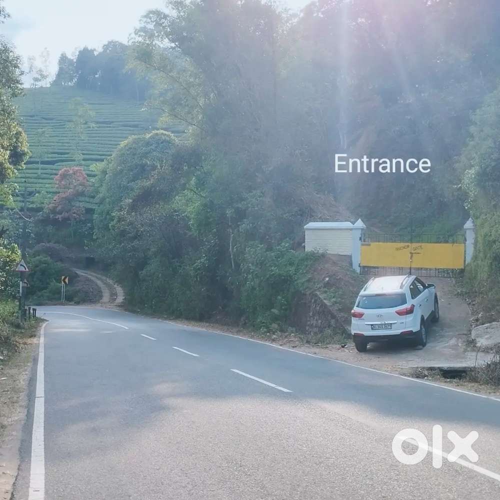 25 cent in Kuttikanam,NH Frontage,Suitable for villas,homestays etc