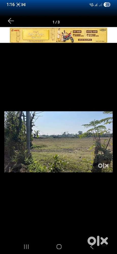 1bigha 4lessa land for sale