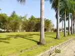 TNC RERA Approved Plots For Sell In Katahadeeh Raipur With Finance