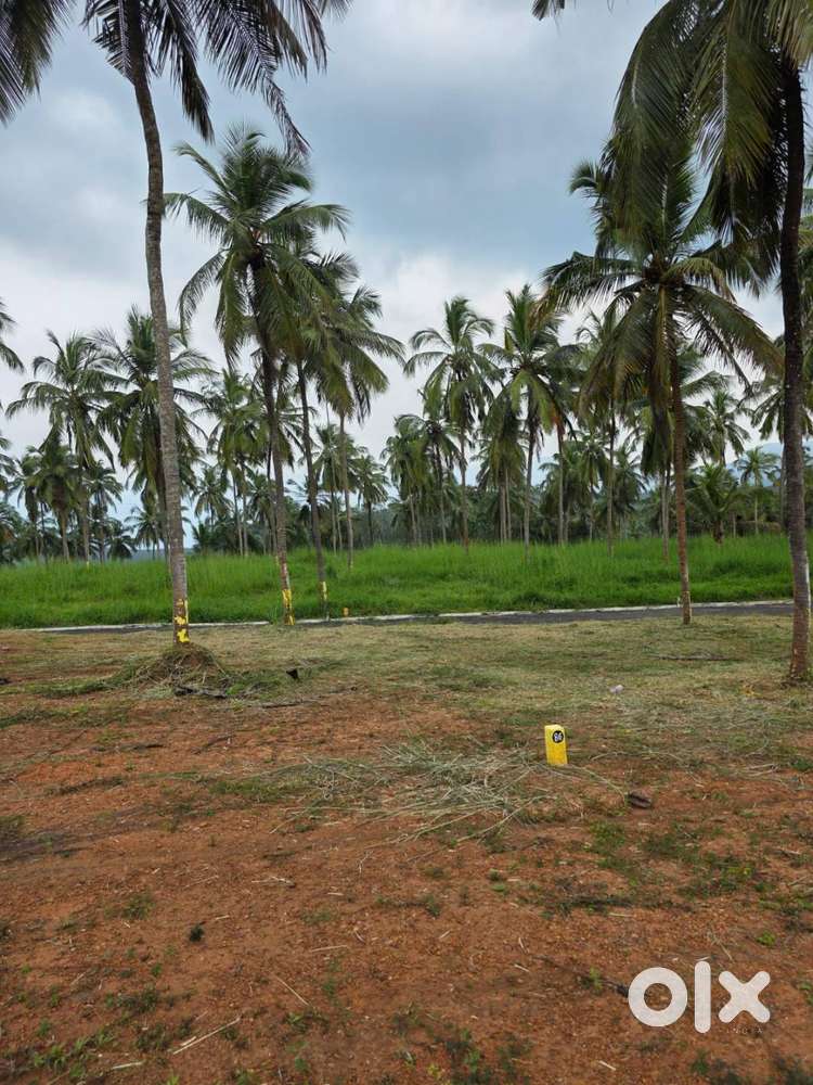 9 Cent House plot for sale in Viyyakurissi,Palakkad