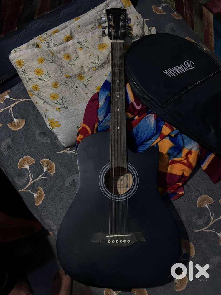 Dolphin Guitar