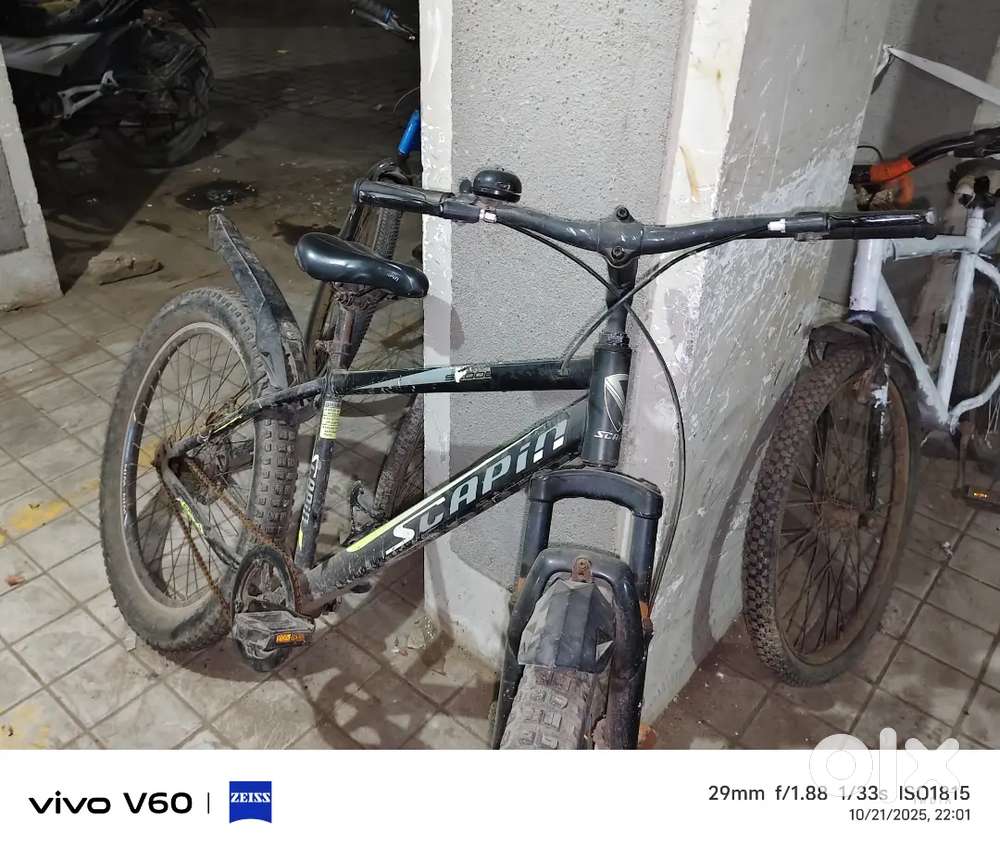 Dual disbrake+ fat tires