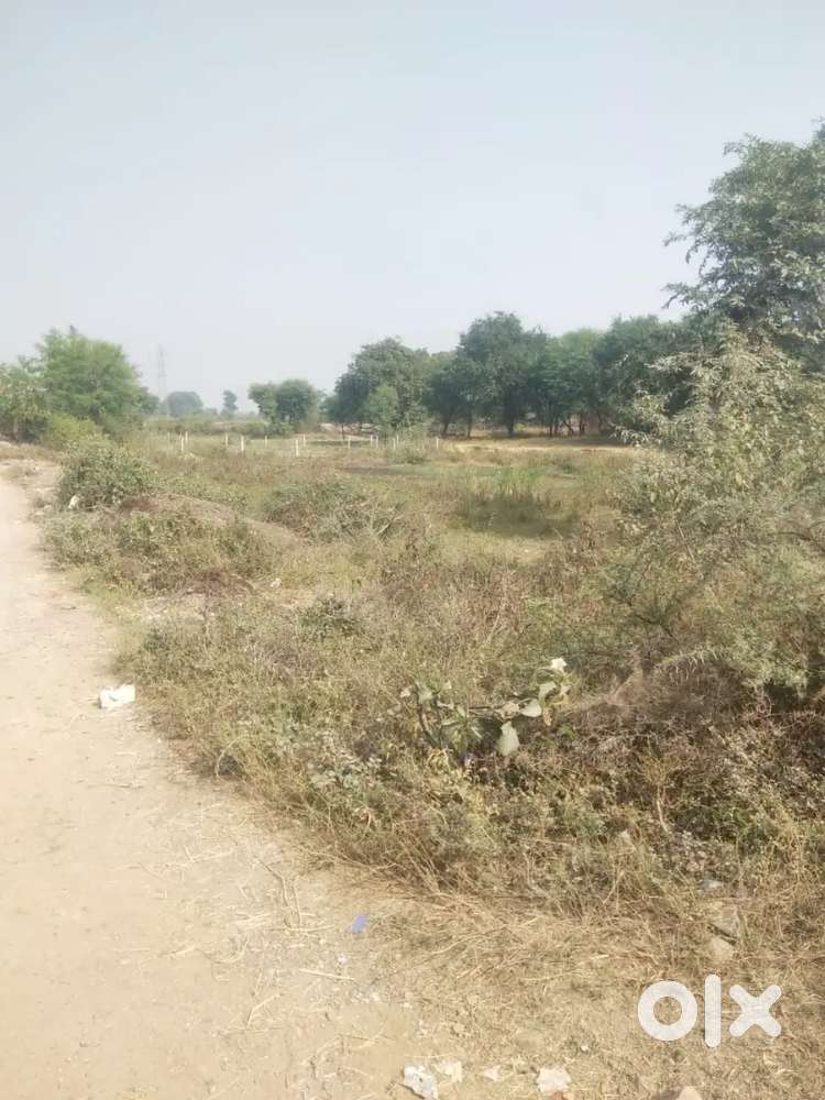 1.5 acre jameen patora