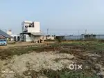 For rent Poultry Farm