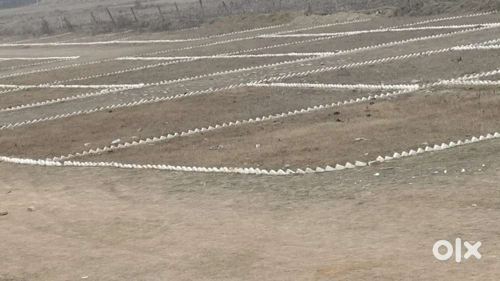 Plot for sale in Daurwala