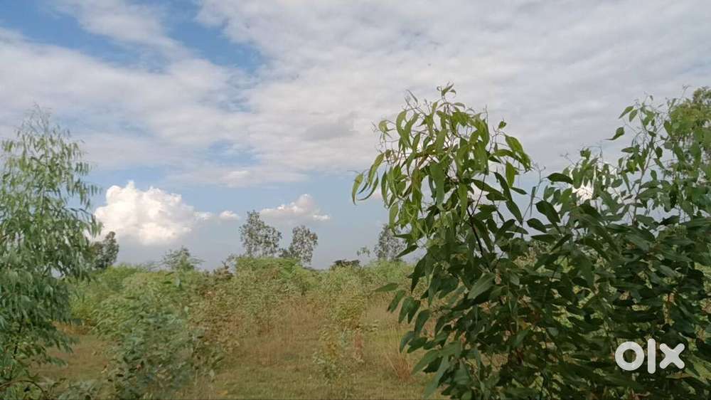 Urgent sale best place best place for farming industries& investments