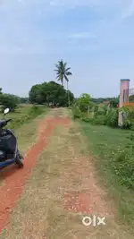Minjur dtcp approved land Per Sqft  500/-