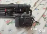Sony ZV-E10L Camera + Ring Light + Digitek Tripod | Full Creator Setup