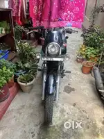 Avenger 220