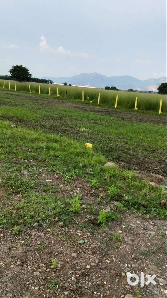ap capital amaravati road at chevitiallu road lo plots at kanchikacher