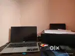 Accounting & Back office Only Lady's