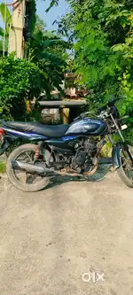 Platina 125cc