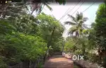 Ollur 19 cent plot for sale with good road access