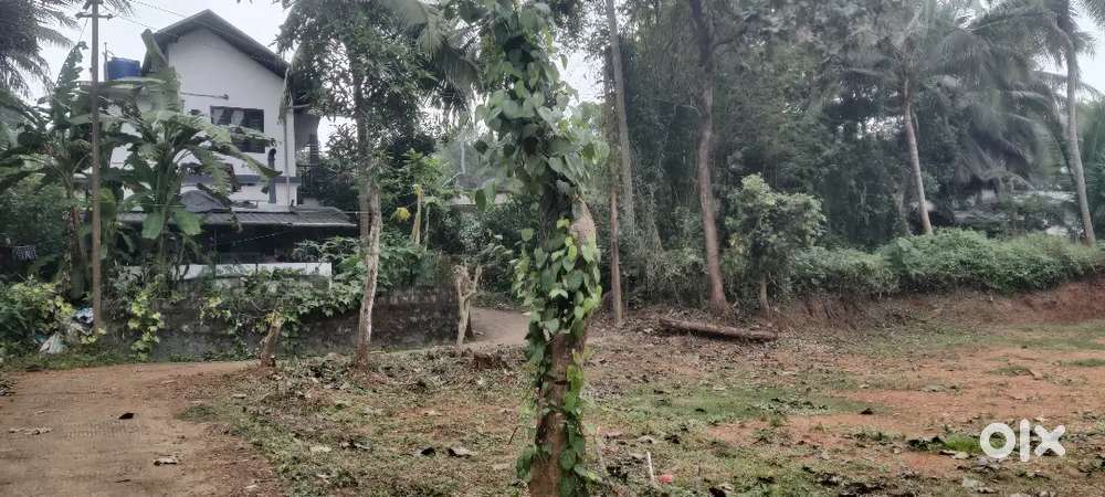 House plots for sale