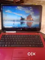 Hp laptop window 10 education