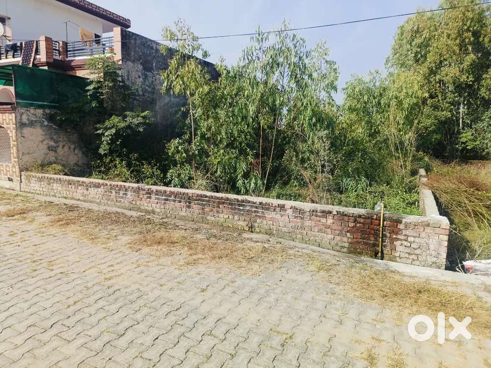 Good location and good plot