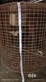 Round Iron Cage