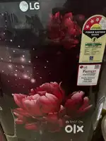 LG - Fridge 180