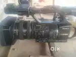 Arjent hai