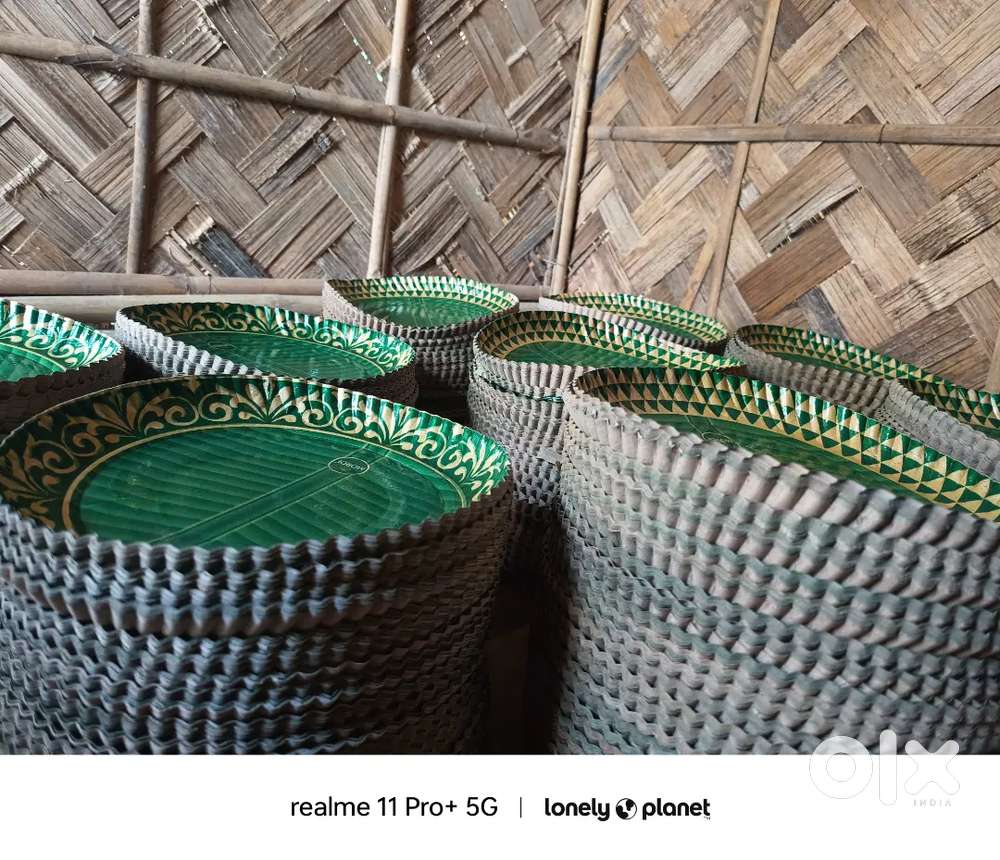 Paper plate Hydrolic mecin