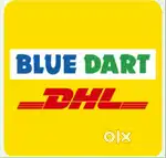 Bluedart delivery