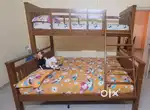 Bunk Bed and Cot